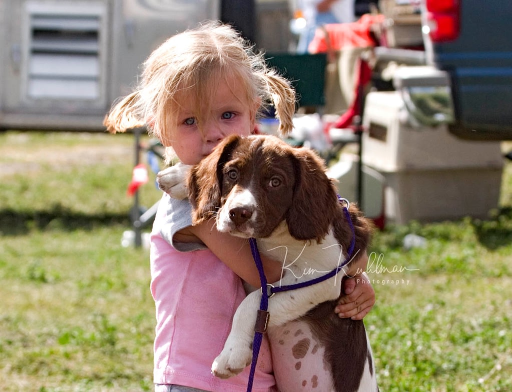 A future field trialer and her newest companion, a Springer Spaniel puppy.